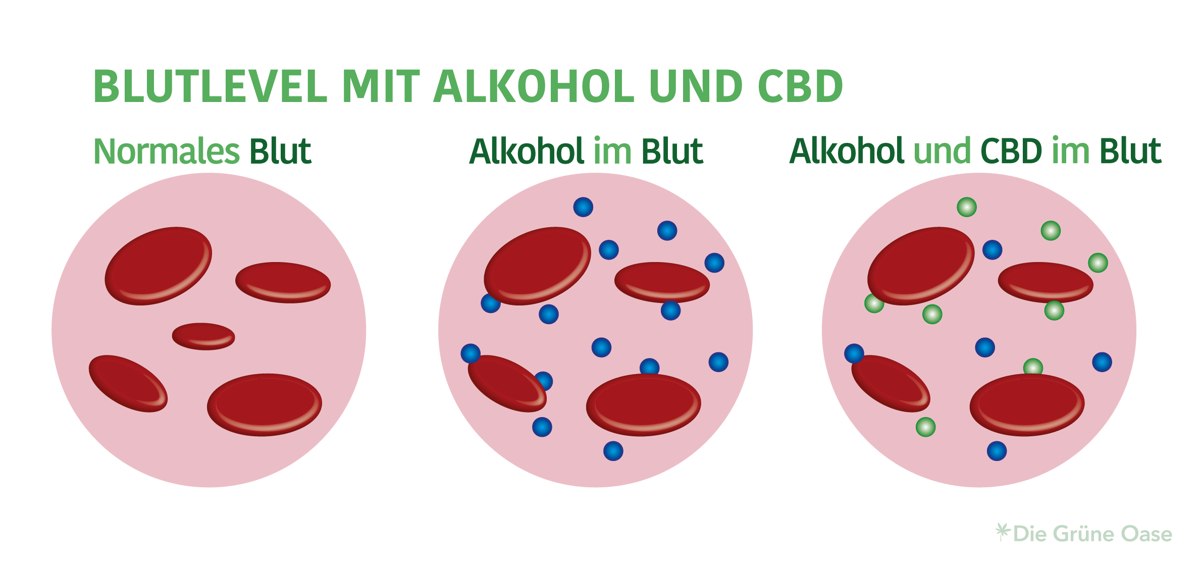Wie Lange Kann Man Alkohol Im Blut Nachweisen www.die-gruene-oase.com